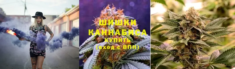 Бошки марихуана план  где продают наркотики  Камбарка 